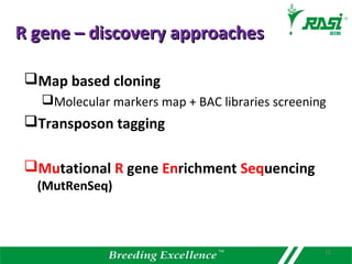 R gene – discovery approachesR gene – discovery approaches
Map based cloning
Molecular markers map + BAC libraries screening
Transposon tagging
Mutational R gene Enrichment Sequencing
(MutRenSeq)
11
 