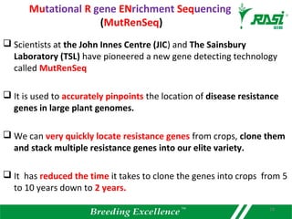 Mutational R gene ENrichment Sequencing
(MutRenSeq)
 Scientists at the John Innes Centre (JIC) and The Sainsbury
Laboratory (TSL) have pioneered a new gene detecting technology
called MutRenSeq
 It is used to accurately pinpoints the location of disease resistance
genes in large plant genomes.
 We can very quickly locate resistance genes from crops, clone them
and stack multiple resistance genes into our elite variety.
 It has reduced the time it takes to clone the genes into crops from 5
to 10 years down to 2 years.
18
 