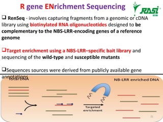 R gene ENrichment Sequencing
 RenSeq - involves capturing fragments from a genomic or cDNA
library using biotinylated RNA oligonucleotides designed to be
complementary to the NBS-LRR-encoding genes of a reference
genome
Target enrichment using a NBS-LRR–specific bait library and
sequencing of the wild-type and susceptible mutants
Sequences sources were derived from publicly available gene
annotations
21
 