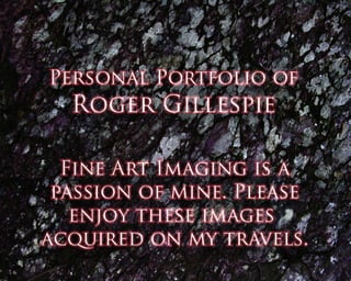 R Gillespie Portfolio