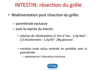 INTESTIN: résection du grêle 
•Réalimentationpostrésectiondugrêle: 
–parentéraleexclusive 
–aveclareprisedutransit: 
•solutionderéhydratation(1litred’eau-3,5gNaCl- 2,5bicarbonates-1,5gKCl-20gglucose) 
•nutritionoraleet/ouentéraleenparallèleaveclaparentérale 
–adaptationdel’absorptionintestinale  