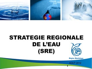 STRATEGIE REGIONALE
      DE L’EAU
       (SRE)
                  AOUT 2012
              1
 