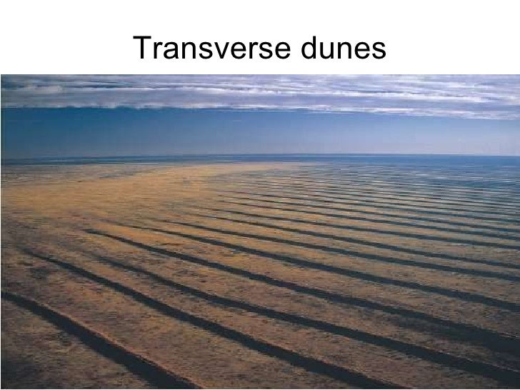 Deserts