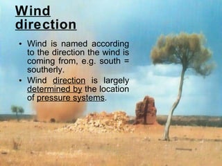 Wind direction Wind is named according to the direction the wind is coming from, e.g. south = southerly. Wind  direction  is largely  determined by  the location of  pressure systems .  