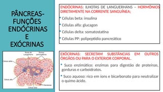 PÂNCREAS-
FUNÇÕES
ENDÓCRINAS
E
EXÓCRINAS
ENDÓCRINAS: ILHOTAS DE LANGUERHANS – HORMÔNIOS
DIRETAMENTE NA CORRENTE SANGUÍNEA;
 Células beta: insulina
 Células alfa: glucagon
 Células delta: somatostatina
 Células PP: polipeptídio pancreático
EXÓCRINAS: SECRETAM SUBSTÂNCIAS EM OUTROS
ÓRGÃOS OU PARA O EXTERIOR CORPORAL.
 Suco enzimático: enzimas para digestão de proteínas,
gorduras e carboidratos.
 Suco aquoso: rico em íons e bicarbonato para neutralizar
o quimo ácido.
 