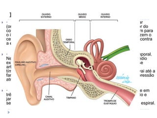 Função de cada ouvido:·        O ouvido externo – é formado por duas partes: pavilhão auricular (orelha), sua função é captar os sons, direcionando - os para o interior do conduto auditivo. Canal auditivo externo é um canal que conduz o som para o interior do ouvido; no conduto existem pêlos e glândulas que produzem o cerúmen (cera amarelada); os pêlos e o cerúmen protegem o ouvido contra a entrada de corpos estranhos.·        Ouvido médio – (caixa do tímpano), situa-se dentro do osso temporal. Nele se encontra o tímpano que é uma fina membrana. No ouvido médio existem ainda três pequenos ossos: bigorna, martelo e estribo, Eles se articulam uns com os outros e recebem a vibração da membrana do tímpano. Do ouvido médio sai um canal, a trompa de Eustáquio que vai até a faringe. Sua função é manter a pressão da caixa do tímpano igual a pressão atmosférica.·        Ouvido interno – recebe também o nome de labirinto, e divide-se em três partes: vestíbulo que é uma cavidade separada pelo ouvido médio e janela oval; canais semicirculares – são três tubos em forma de semicírculos; cóclea e caracol – é um canal de 2,5 cm, com forma de espiral.