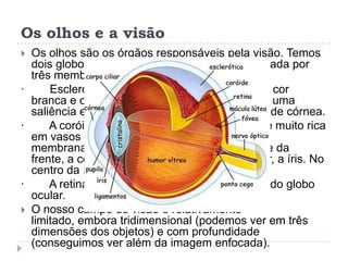 Os olhos e a visãoOs olhos são os órgãos responsáveis pela visão. Temos dois globos oculares, cada uma parede é formada por três membranas:·        Esclerótica – membrana mais externas, de cor branca e opaca. Na parte da frente, apresenta uma saliência e é transparente, recebendo o nome de córnea.·        A coróide – localizada sobre a esclerótica é muito rica em vasos sangüíneos, o sangue circula nessa membrana e nutre as células do olho. Na parte da frente, a coróide apresenta uma região circular, a íris. No centro da íris há um orifício, a pupila.·        A retina – Camada mais interna e sensível do globo ocular.O nosso campo de visão é relativamente limitado, embora tridimensional (podemos ver em três dimensões dos objetos) e com profundidade (conseguimos ver além da imagem enfocada).