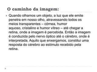  O caminho da imagem:Quando olhamos um objeto, a luz que ele emite penetra em nosso olho, atravessando todos os meios transparentes – córnea, humor aquoso, cristalino e humor vítreo – até chegar a retina, onde a imagem é percebida. Então a imagem é conduzida pelo nervo óptico até o cérebro, onde é interpretada. Aquilo que enxergamos, constitui uma resposta do cérebro ao estímulo recebido pela retina.