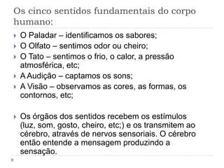 Os cinco sentidos fundamentais do corpo humano:O Paladar – identificamos os sabores; O Olfato – sentimos odor ou cheiro;O Tato – sentimos o frio, o calor, a pressão atmosférica, etc;A Audição – captamos os sons; A Visão – observamos as cores, as formas, os contornos, etc;Os órgãos dos sentidos recebem os estímulos (luz, som, gosto, cheiro, etc;) e os transmitem ao cérebro, através de nervos sensoriais. O cérebro então entende a mensagem produzindo a sensação. 