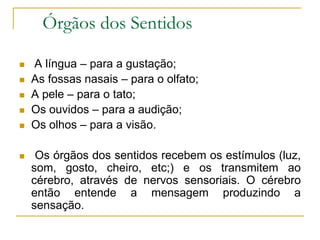 Órgãos dos Sentidos
 A língua – para a gustação;
 As fossas nasais – para o olfato;
 A pele – para o tato;
 Os ouvidos – para a audição;
 Os olhos – para a visão.
 Os órgãos dos sentidos recebem os estímulos (luz,
som, gosto, cheiro, etc;) e os transmitem ao
cérebro, através de nervos sensoriais. O cérebro
então entende a mensagem produzindo a
sensação.
 
