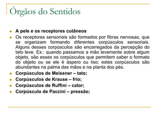 Órgãos do Sentidos
 A pele e os receptores cutâneos
 Os receptores sensoriais são formados por fibras nervosas, que
se organizam formando diferentes corpúsculos sensoriais.
Alguns desses corpúsculos são encarregados da percepção do
tato leve. Ex.: quando passamos a mão levemente sobre algum
objeto, são esses os corpúsculos que permitem saber o formato
do objeto ou se ele é áspero ou liso; estes corpúsculos são
abundantes na palma das mãos e na planta dos pés.
 Corpúsculos de Meissner – tato;
 Corpúsculos de Krause – frio;
 Corpúsculos de Ruffini – calor;
 Corpúsculo de Paccini – pressão;
 