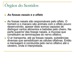 Órgãos do Sentidos
 As fossas nasais e o olfato
 As fossas nasais são responsáveis pelo olfato. O
homem e o macaco são animais com o olfato pouco
desenvolvido, apesar disto somos capazes de
distinguir certos alimentos e bebidas pelo cheiro. Na
parte superior das fossas nasais, a mucosa que
constituem as terminações do nervo olfativo.
 O ar transporta, até as fossas nasais, substâncias
diversas que sensibilizam as células olfativas. Então
a mensagem é conduzida pelo nervo olfativo até o
cérebro, onde é interpretada.
 