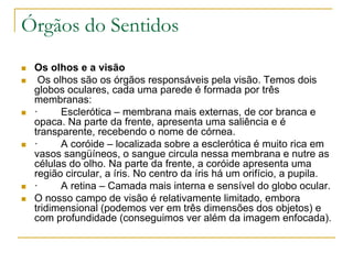 Órgãos do Sentidos
 Os olhos e a visão
 Os olhos são os órgãos responsáveis pela visão. Temos dois
globos oculares, cada uma parede é formada por três
membranas:
 · Esclerótica – membrana mais externas, de cor branca e
opaca. Na parte da frente, apresenta uma saliência e é
transparente, recebendo o nome de córnea.
 · A coróide – localizada sobre a esclerótica é muito rica em
vasos sangüíneos, o sangue circula nessa membrana e nutre as
células do olho. Na parte da frente, a coróide apresenta uma
região circular, a íris. No centro da íris há um orifício, a pupila.
 · A retina – Camada mais interna e sensível do globo ocular.
 O nosso campo de visão é relativamente limitado, embora
tridimensional (podemos ver em três dimensões dos objetos) e
com profundidade (conseguimos ver além da imagem enfocada).
 