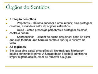 Órgãos do Sentidos
 Proteção dos olhos
 · Pálpebras – Há uma superior e uma inferior; elas protegem
os olhos, evitando a entra de objetos estranhos;
 · Cílios – estão presos às pálpebras e protegem os olhos
contra a poeira;
 · Sobrancelhas – situam-se acima dos olhos; pode-se dizer
que eles formam uma barreira contra o suor que escorre da
testa.
 As lágrimas
 Em cada olho existe uma glândula lacrimal, que fabrica um
líquido chamado lágrima. A função deste líquido é lubrificar e
limpar o globo ocular, além de remover a sujeira.
 