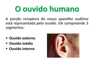 A porção receptora do nosso aparelho auditivo
está representada pelo ouvido. Ele compreende 3
segmentos:
 Ouvido externo
 Ouvido médio
 Ouvido interno
O ouvido humano
 
