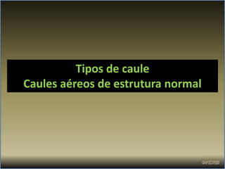 Tipos de caule
Caules aéreos de estrutura normal
 