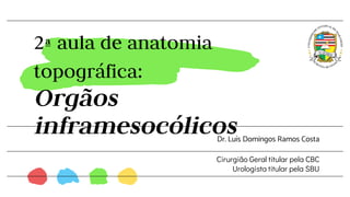 2ª aula de anatomia
topográfica:
Orgãos
inframesocólicos
Dr. Luís Domingos Ramos Costa
Cirurgião Geral titular pela CBC
Urologista titular pela SBU
 