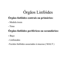 Órgãos Linfóides
Órgãos linfóides centrais ou primários:
- Medula óssea
- Timo

Órgãos linfóides periféricos ou secundários:
- Baço
- Linfonodos
-Tecidos linfóides associados à mucosa ( MALT )
 