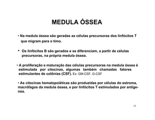 MEDULA ÓSSEA

• Na medula óssea são geradas as células precursoras dos linfócitos T
    que migram para o timo.

•   Os linfócitos B são gerados e se diferenciam, a partir de células
    precursoras, na própria medula óssea.

• A proliferação e maturação das células precursoras na medula óssea é
  estimulada por citocinas, algumas também chamadas fatores
  estimulantes de colônias (CSF). Ex: GM-CSF, G-CSF

• As citocinas hematopoiéticas são produzidas por células do estroma,
macrófagos da medula óssea, e por linfócitos T estimulados por antíge-
nos.



                                                                        15
 