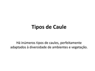 Tipos de Caule
Há inúmeros tipos de caules, perfeitamente
adaptados à diversidade de ambientes e vegetação.
 