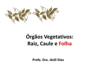 Órgãos Vegetativos:
Raiz, Caule e Folha
Profa. Dra. Jézili Dias
 
