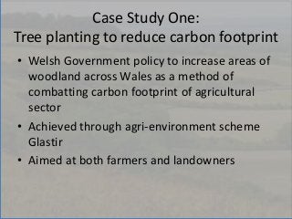 Case Study One:
Tree planting to reduce carbon footprint
• Welsh Government policy to increase areas of
woodland across Wa...