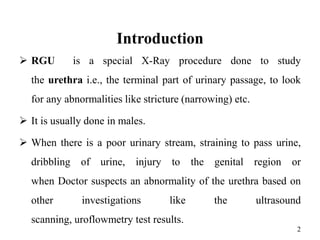 RGU.pptx this is ppt of RGU procedure film processing and positioning ...