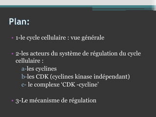 • 1-le cycle cellulaire : vue générale
• 2-les acteurs du système de régulation du cycle
cellulaire :
a-les cyclines
b-les CDK (cyclines kinase indépendant)
c- le complexe ‘CDK -cycline’
• 3-Le mécanisme de régulation
 
