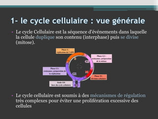 • Le cycle Cellulaire est la séquence d'événements dans laquelle
la cellule duplique son contenu (interphase) puis se divise
(mitose).
• Le cycle cellulaire est soumis à des mécanismes de régulation
très complexes pour éviter une prolifération excessive des
cellules
 