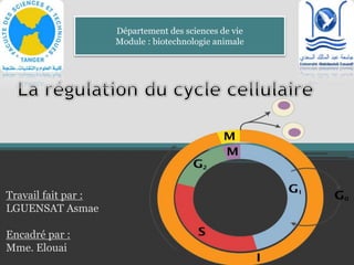 Travail fait par :
LGUENSAT Asmae
Encadré par :
Mme. Elouai
Département des sciences de vie
Module : biotechnologie animale
 