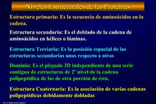 Niveles Estructurales de las Proteínas M en C Rafael Govea Villaseñor Estructura primaria: Es la secuencia de aminoácidos en la cadena. Estructura secundaria: Es el doblado de la cadena de aminoácidos en hélices o láminas. Estructura Terciaria: Es la posición espacial de las estructuras secundarias unas respecto a otras Dominio: Es el plegado 3D independiente de una serie contigua de estructuras de 2º nivel de la cadena polipeptídica de las de otra porción de ésta. Estructura Cuaternaria: Es la asociación de varias cadenas polipeptídicas debidamente dobladas 