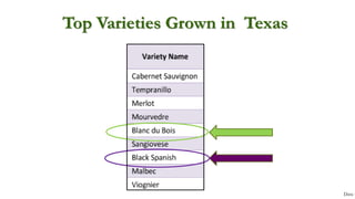 Data f
Top Varieties Grown in Texas
 