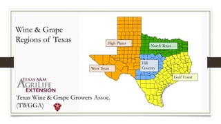 Hill
Country
High Plains
North Texas
Gulf Coast
West Texas
Wine & Grape
Regions of Texas
Texas Wine & Grape Growers Assoc.
(TWGGA)
 