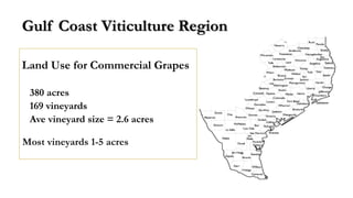 Most vineyards 1-5 acres
Gulf Coast Viticulture Region
Land Use for Commercial Grapes
380 acres
169 vineyards
Ave vineyard size = 2.6 acres
 