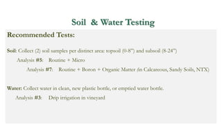 Soil & Water Testing
Recommended Tests:
Soil: Collect (2) soil samples per distinct area: topsoil (0-8”) and subsoil (8-24”)
Analysis #5: Routine + Micro
Analysis #7: Routine + Boron + Organic Matter (in Calcareous, Sandy Soils, NTX)
Water: Collect water in clean, new plastic bottle, or emptied water bottle.
Analysis #3: Drip irrigation in vineyard
 