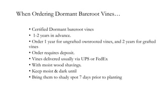 • Certified Dormant bareroot vines
• 1-2 years in advance.
• Order 1 year for ungrafted ownrooted vines, and 2 years for grafted
vines
• Order requires deposit.
• Vines delivered usually via UPS or FedEx
• With moist wood shavings.
• Keep moist & dark until
• Bring them to shady spot 7 days prior to planting
When Ordering Dormant Bareroot Vines…
 