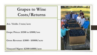 Grapes to Wine
Costs/Returns
Ave. Yields: 3 tons/acre
Grape Prices: $1500 to $3000/ton
Gross Revenue: $3000 - $10000/acre
Vineyard Mgmt: $2500-$4000/acre
 