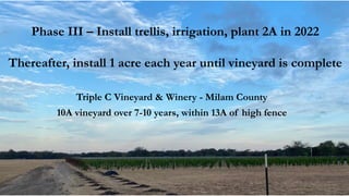 Triple C Vineyard & Winery - Milam County
10A vineyard over 7-10 years, within 13A of high fence
Phase III – Install trellis, irrigation, plant 2A in 2022
Thereafter, install 1 acre each year until vineyard is complete
 