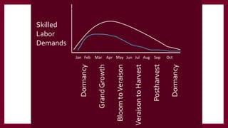 Dormancy
Grand
Growth
Bloom
to
Veraison
Veraison
to
Harvest
Postharvest
Dormancy
Skilled
Labor
Demands
Jan Feb Mar Apr May Jun Jul Aug Sep Oct
 