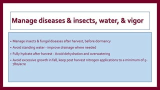 Manage diseases & insects, water, & vigor
• Manage insects & fungal diseases after harvest, before dormancy
• Avoid standing water - improve drainage where needed
• Fully hydrate after harvest - Avoid dehydration and overwatering
• Avoid excessive growth in fall, keep post harvest nitrogen applications to a minimum of 5-
7lbs/acre
 