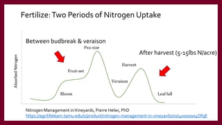 Fertilize:Two Periods of Nitrogen Uptake
Between budbreak & veraison
After harvest (5-15lbs N/acre)
Nitrogen Management inVineyards, Pierre Helwi, PhD
https://agrilifelearn.tamu.edu/s/product/nitrogen-management-in-vineyards/01t4x000004OfqE
 