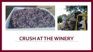 CRUSH ATTHE WINERY
 