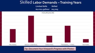 0
5
10
15
20
25
30
35
40
45
PRUNING WEED CONTROL SPRAYING TRAINING, TYING REPAIRS
HOURS/ACRE
Skilled Labor Demands –TrainingYears
Limited Skills
$12-$12.50/hour
Skilled
$15-$25
Tip: DocumentYourVineyard’s Progress with Photos
 