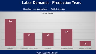 120 hrs/acre/year
Labor Demands - ProductionYears
Unskilled - $12-$12.50/hour Skilled - $15-$25
80
40 40
50
15
HARVEST FUNG/INSECT/FERT SPRAY PRUNING TRAINING,TYING HERBICIDE SPRAY
HOURS/ACRE
Vine Growth Stages
 