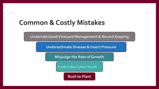 Common & Costly Mistakes
Underrate GoodVineyard Management & Record Keeping
Misjudge the Rate of Growth
Underestimate Disease & Insect Pressure
Undervalue Labor Needs
Rush to Plant
 