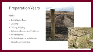 PreparationYears
Tasks
• Soil &WaterTests
• Clearing
• Disking, Ripping
• Soil Amendments and Fertilizers
• Weed Clearing
• Trellis & Irrigation Installation
• Educational Expenses
 
