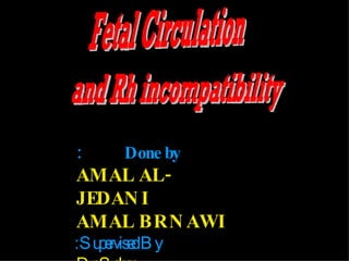Fetal Circulation and Rh incompatibility Done by: AMAL AL-JEDANI AMAL BRNAWI Supervised By: Dr.Sahar 