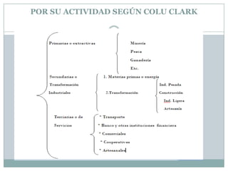 POR SU ACTIVIDAD SEGÚN COLU CLARK