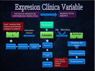 Insuf. cardiaca fetal Edema generalizado Colapso circulatorio Convulsiones Daño cerebral Sordera Muerte Expresion Clínica Variable DISTINTOS GRADOS DE ENFERMEDAD HEMOLITICA MUERTE FETAL  ABORTO Ictericia Hidrops Fetalis Hb Bilirrubina Hemolisis masiva Despues del parto 