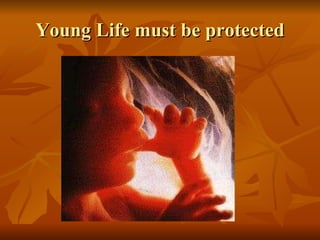 Young Life must be protected 